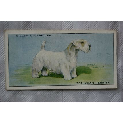 1937 Wills Dogs No. 47 Sealyham Terrier