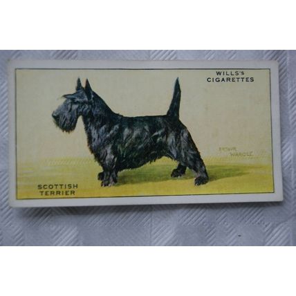 1937 Wills Dogs No. 46 Scottish Terrier