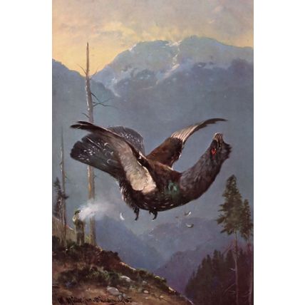 Bird Shot Dying In Air Antique Hunting Blood Sports Postcard