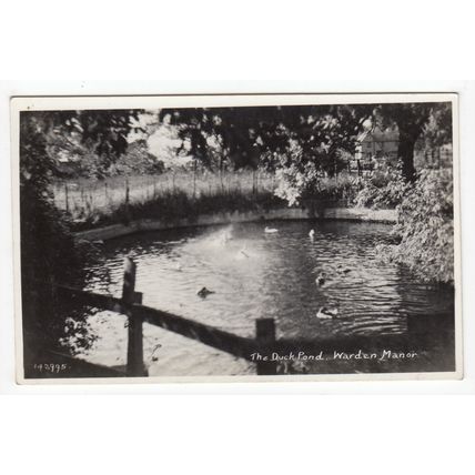 The Duck Pond Warden Manor Eastchurch Isle of Sheppey Postcard RP Kent