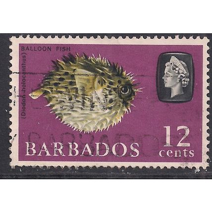 Barbados 1965 QE2 12ct Porcupine Fish used SG 329 ( L1020 )