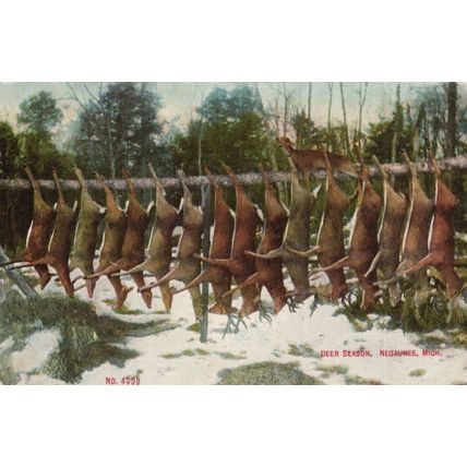 Deer Season Negaunee USA Skinned Animals Butcher USA Old Postcard