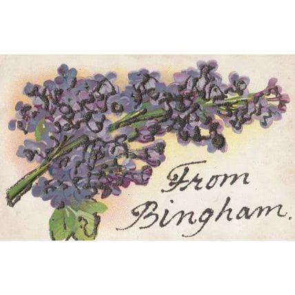 Greetings from BINGHAM Nottingham REAL GLITTER SPARKLE Antique Postcard