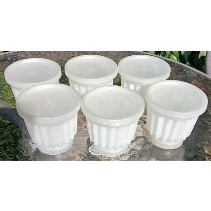 6 small Tupperware Jelly Molds, vintage retro mid century