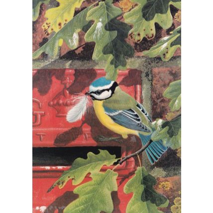 Warwickshire Blue Tit Bird Royal Mail Advertising Painting Postcard