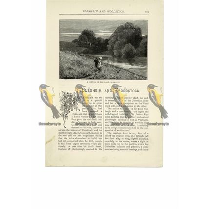 Corner of the Lake, Blenheim Palace, Oxon, Book Illustration (Print), 1891