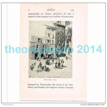 SIENA, THE MARKET, ITALY, BOOK ILLUSTRATION/PRINT, 1904