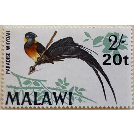 Malawi QEII 1970 Decimal Currency 20t 2s paradise whydah Mint MNH SG 357 stamp