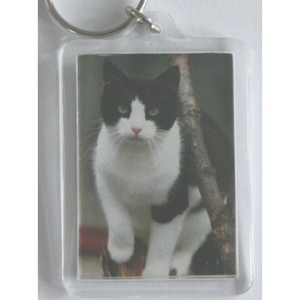 CAT BREED KEY RINGS QUALITY ACRYLIC DOUBLE SIDED PHOTO KEY RINGS 8 BREEDS