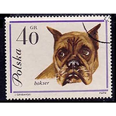 Poland 1963 Dogs 40gr Used Stamp.