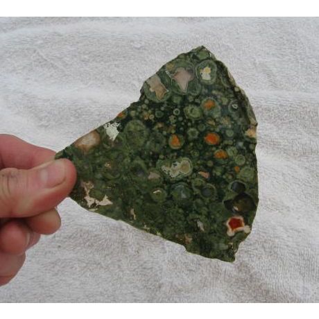 Rhyolite Slab Raw Gemstone Rain Forest Jasper Rock 3.5 Inch Green Energy Work