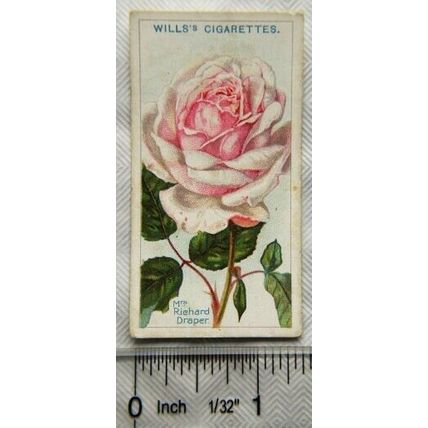 1914 Wills Roses 2nd Series No. 95 Mrs. Richard Draper
