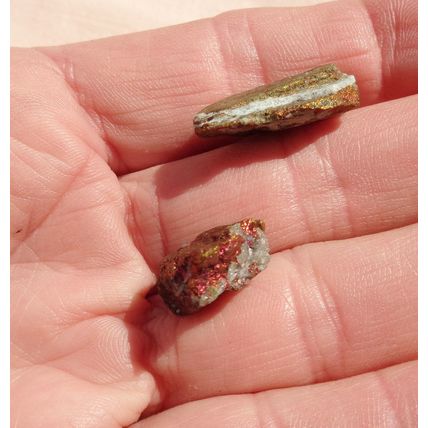 B Peacock Ore Raw Bornite 2 Pieces Metalphysical Gridding Meditation