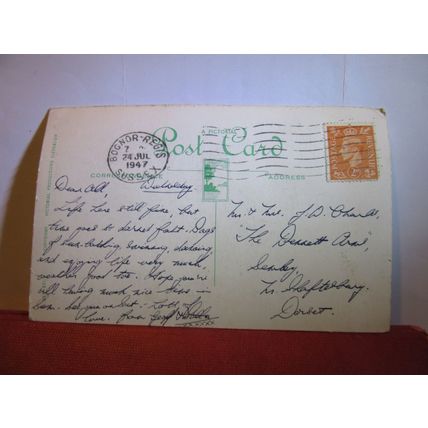 SPANIEL portrait by Culmer used vintage postcard 1947 pm #