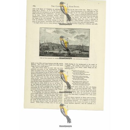 Cherbourg Harbour, France, Late 18thC, Book Illustration (Print), 1892