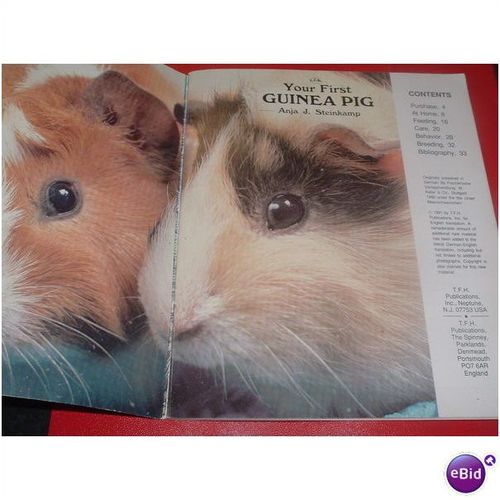 GUINEA PIG (19/01) # #