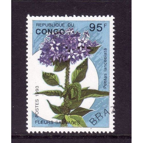 CONGO 1993 WILDFLOWERS SG1376 95F PENTAS LANCEOLATE FINE USED#3