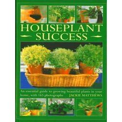 Houseplant Success
