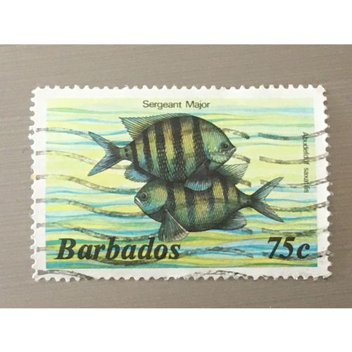 Barbados 1985 Marine Life 75c Sergeant Major Used SG 774A Sc 654 postage stamp