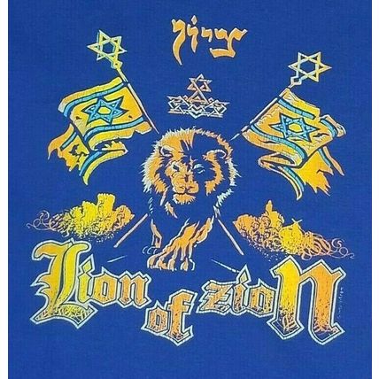 Girl's Large Blue T Shirt Lion of Zion (T9H)