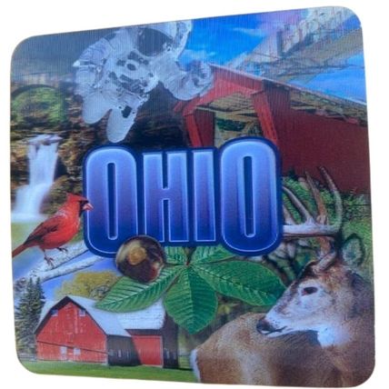 Ohio 3D Drink Coasters 4 Pack