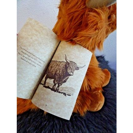 Highland Cow, Heather 16" With Illustrated Booklet Can Be Personalised/Wrapped