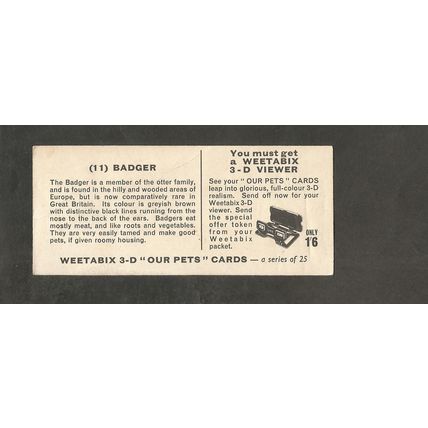 Weetabix 3D Cards 1961 Our Pets #11 Badger