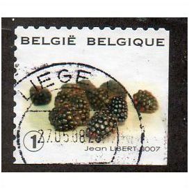 BEL 2007 (52c)(S/A) 'FRUIT- BLACKBERRIES' FINE USED (EBID10435)