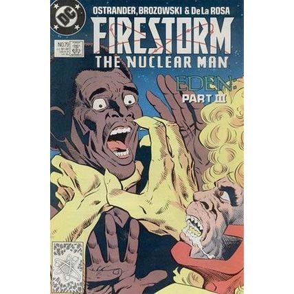 Firestorm (Vol 2) The Fury of # 079 FN+ ORIG US COMICS