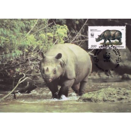 Javan Rhinoceros Indonesia WWF Ltd Stamp FDC Postcard