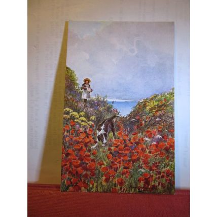 POPPIES,GIRL AND DOG, CROMER, NORFOLK. . unused vintage postcard. =