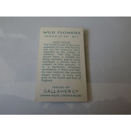 1939 Gallaher Wild Flowers Card # 07 of 48 Dog Violet Very Good (3)