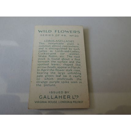 1939 Gallaher Wild Flowers Card # 20 of 48 Lords-And-Ladies Good (2)