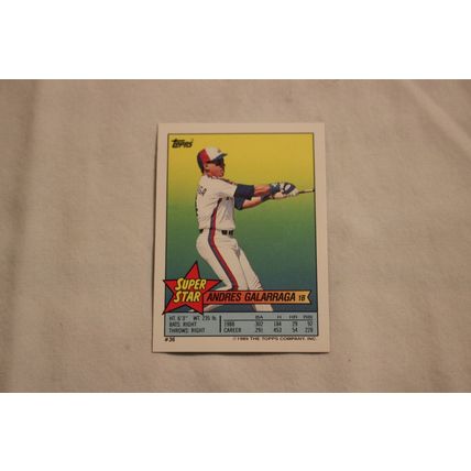 Ryne Sandberg 1989 Topps FOIL Sticker NO. 155 Stickerback Andres Galarraga