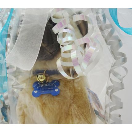 Akita 12" toy dog, just as it is, personalised, gift wrapped, 3 options
