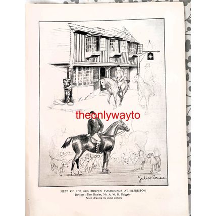 Southdown Hounds At Alfriston, Sussex, Book Illustration (Print), 1932
