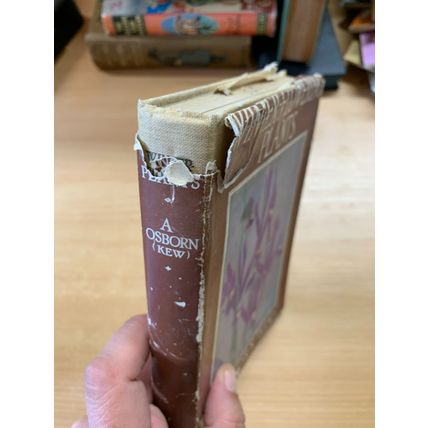 c1950 WINTER FLOWERING PLANTS FOR OUTDOOR BORDERS ILLUSTRATED HARDBACK BOOK (P3)