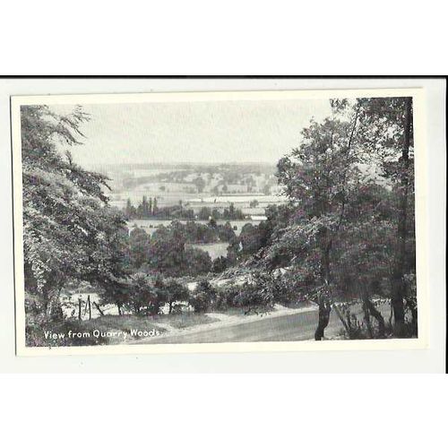Berkshire QUARRY WOODS View Postcard by TVAP (1277)
