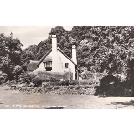 Selworthy Green Thatched Cottage RPC Real Photo Somerset Postcard