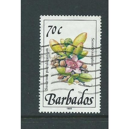 barbados stamps sg900 sg 900 seaside samphire wild plants flowers used