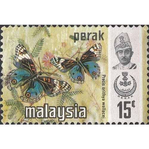 PERAK, MALAYSIA, BUTTERFLY, Blue Pansy , light brown 1971, 15c