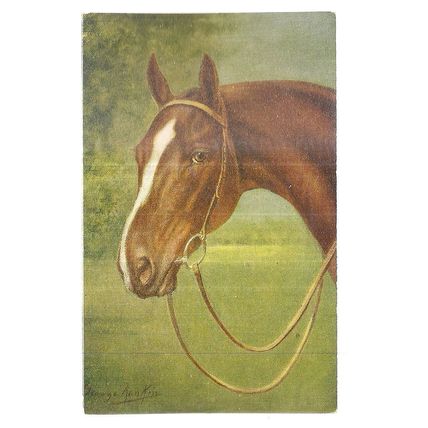 HORSE'S HEAD unused vintage postcard by J. Salmon (d) =