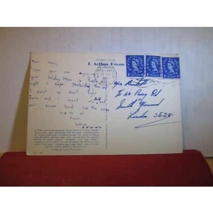 STOCKS flowers. used postcard 1965 postmark J Arthur Dixon =