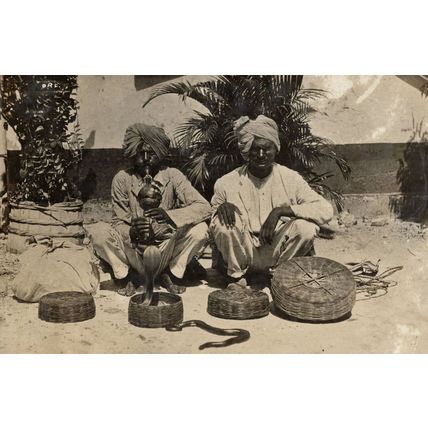 Indian Cobra Snake Charmer Black Viper Old Real Photo Postcard