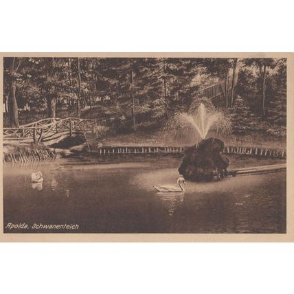 AK Apolda Partie AM Schwanenteich German Swans River Old Postcard