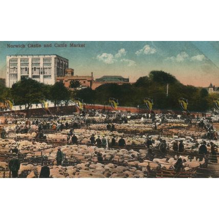 Norwich Castle & Cattle Market, Norfolk, Postcard, 1900s