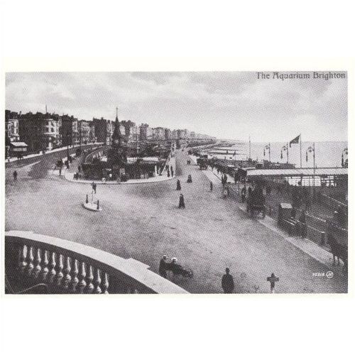 Postcard BRIGHTON Aquarium Edwardian Sussex Seaside Horse Carriage Promenade