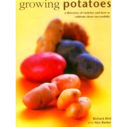 Growing Potatoes