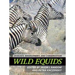 Wild Equids