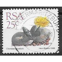 South Africa N° 667 YVERT OBLITERE ( USED )